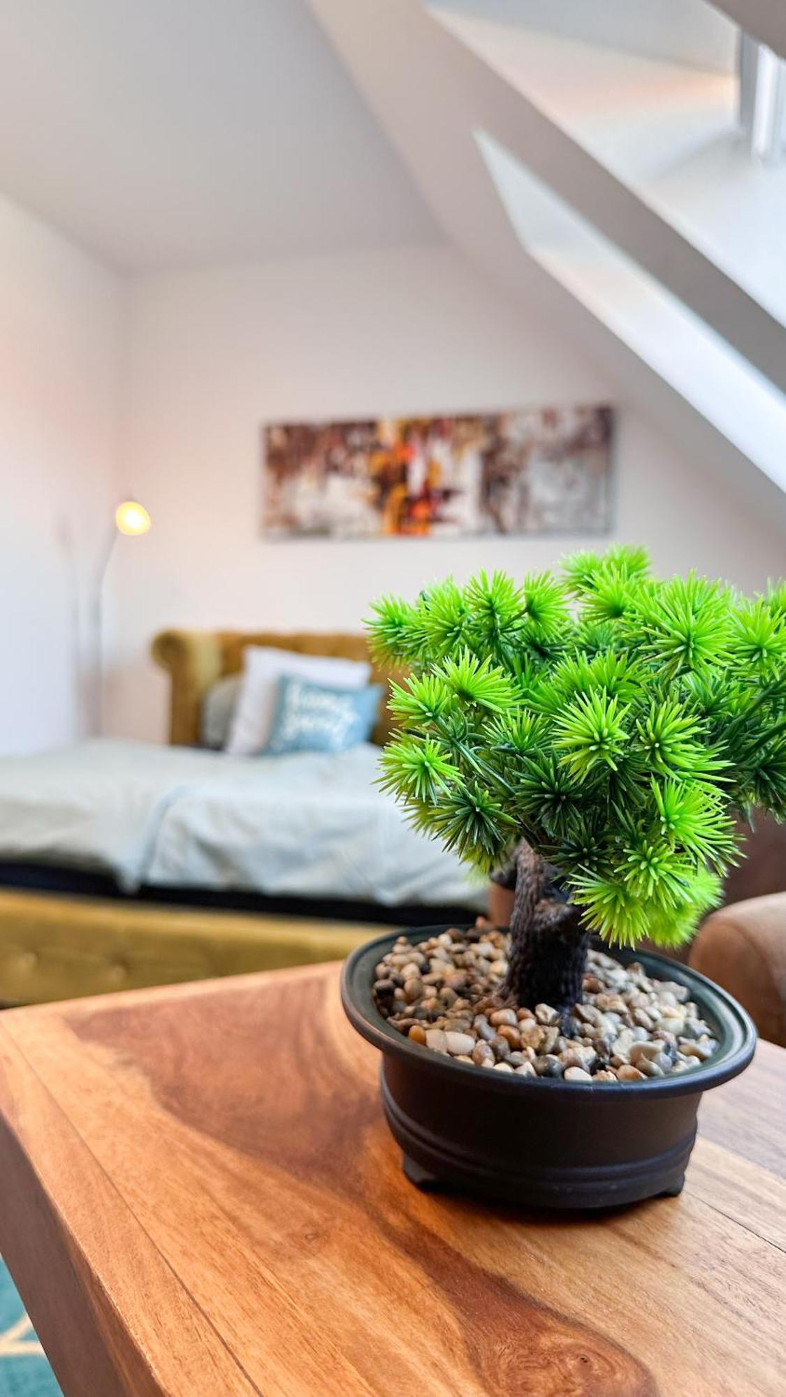 Homestayplus Schwerin Schwerin  Buitenkant foto